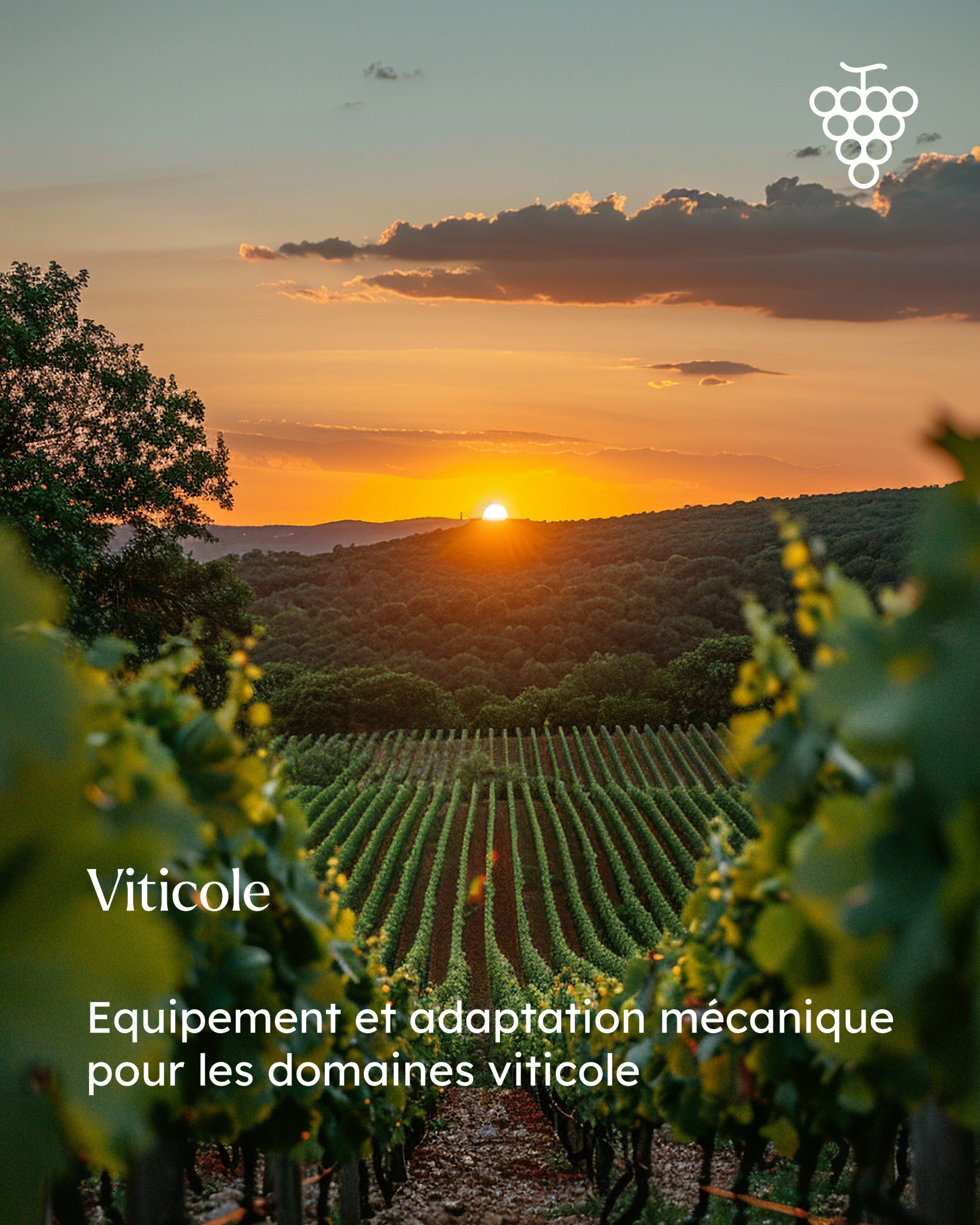 produit_viticole